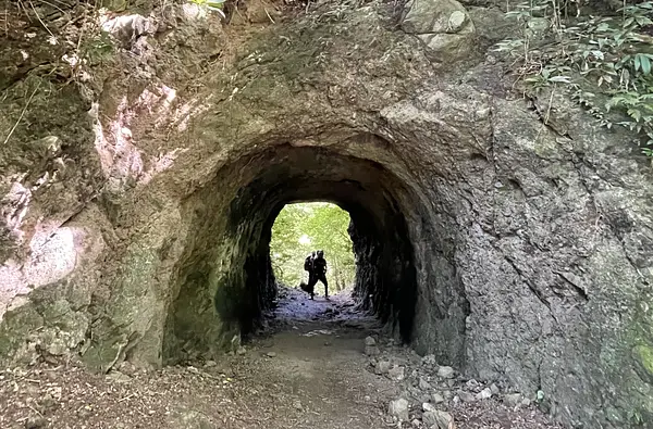 La randonnée inoubliable d'Anse Couleuvre à Grand Rivière