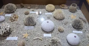 Sea Museum of Martinique