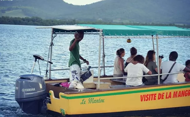 Immersion dans la mangrove de Génipa