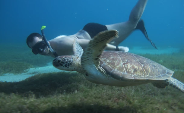 Catamaran day with the turtles in small group