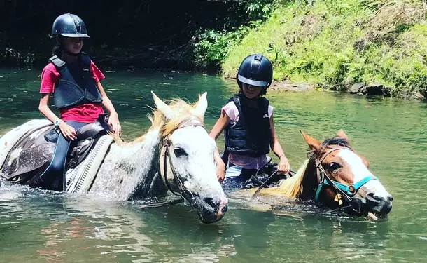 Cheval & rivière pour une balade enchantée