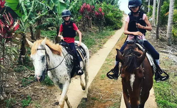 Cheval & rivière pour une balade enchantée