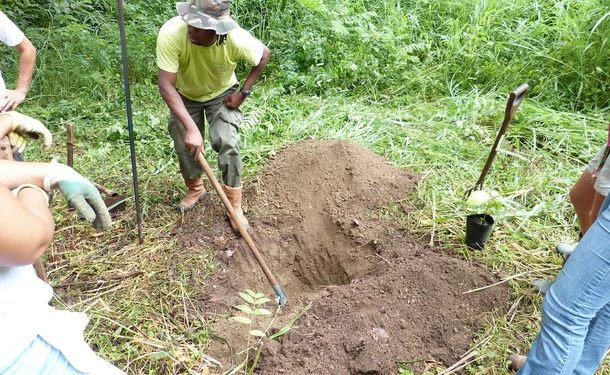 Des petites astuces antillaises pour faire pousser votre jardin
