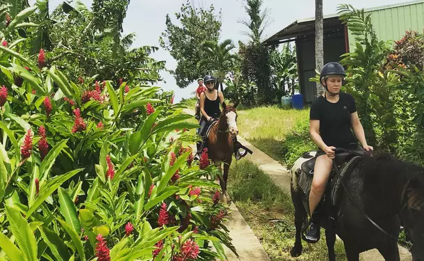 Discovery horse ride in Goyave