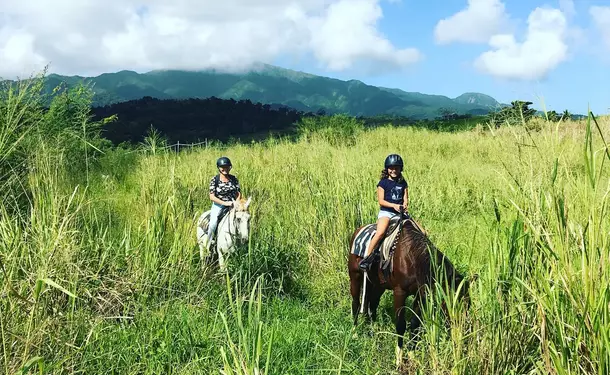 Balade à cheval découverte à Goyave