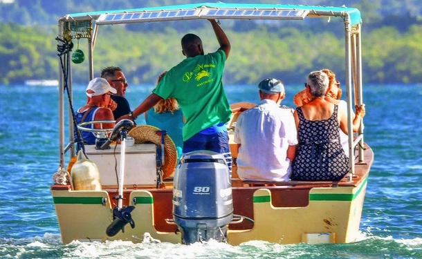 Immersion in the mangrove of Génipa