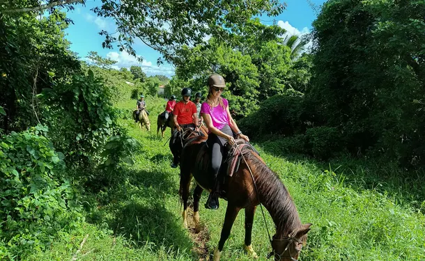 Horse & river for an enchanted ride