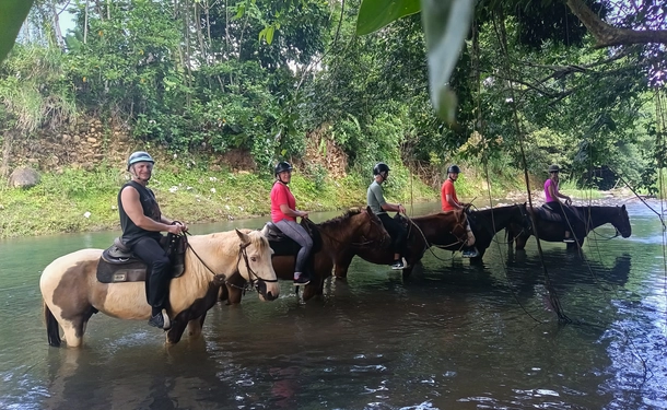 Cheval & rivière pour une balade enchantée