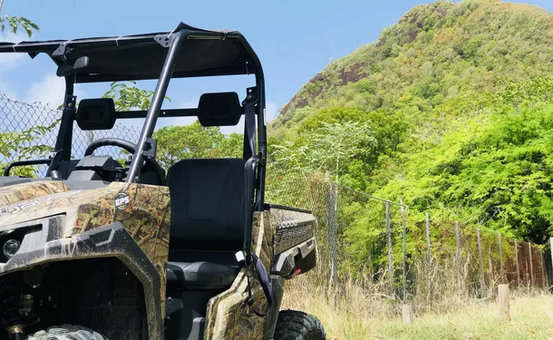 Tropical buggy adventures in the South