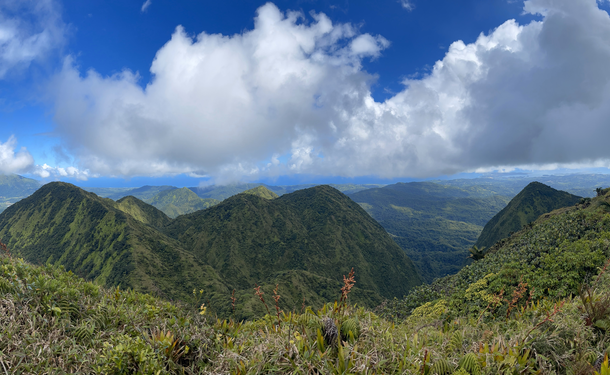 Ascension vers le sommet du Piton Lacroix