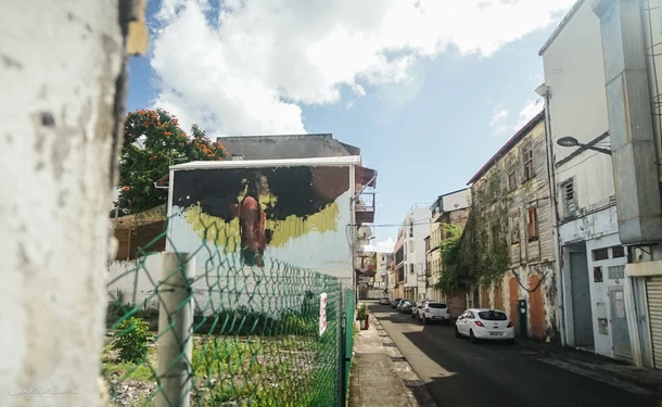 Street Art Tour au cœur de Fort-de-france