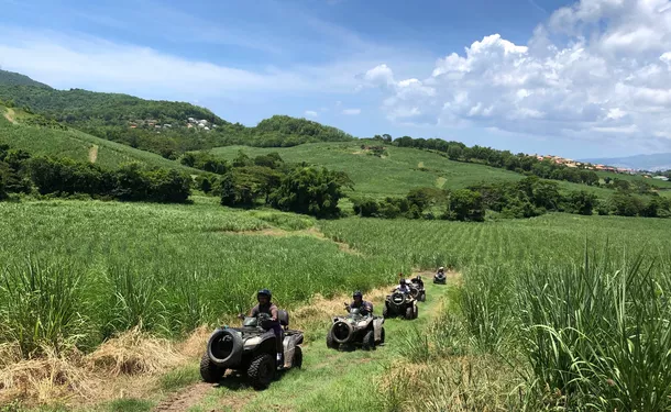Aventure tropicale en quad hors des sentiers
