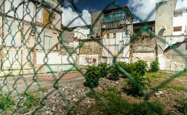 Street Art Tour in the heart of Fort-de-france