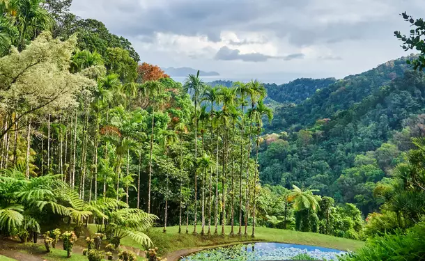Le jardin de Balata