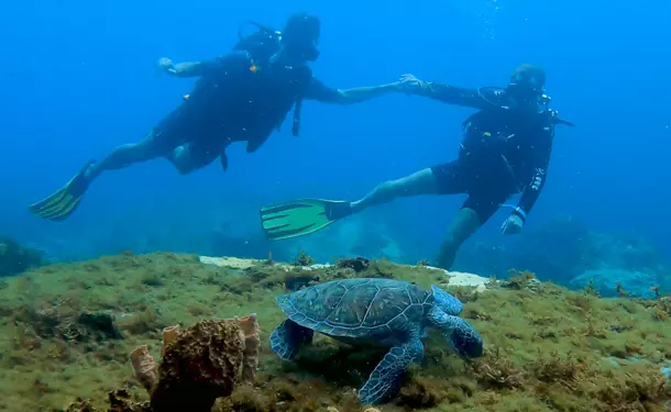 First dive in the Caribbean Sea