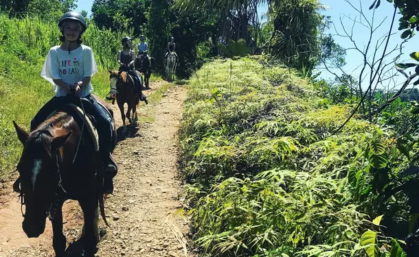 Balade à cheval découverte à Goyave