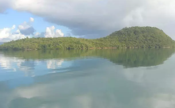 Kayaking in the mangrove of Trois-Ilets