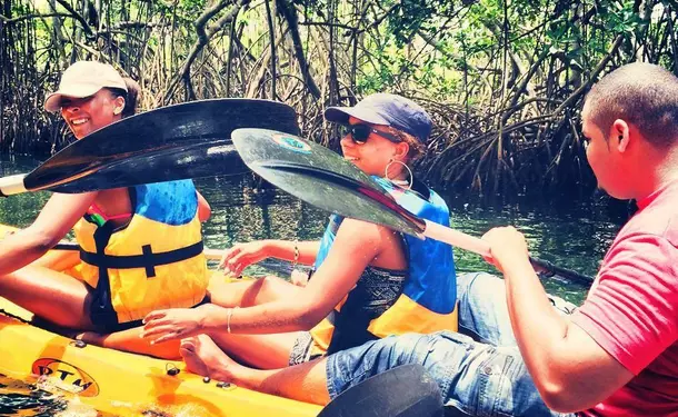 Randonnée en Kayak dans la mangrove des Trois-Ilets