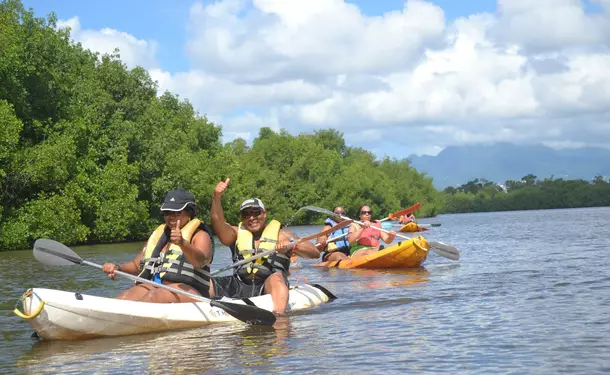 Kayaking in the mangrove of Trois-Ilets