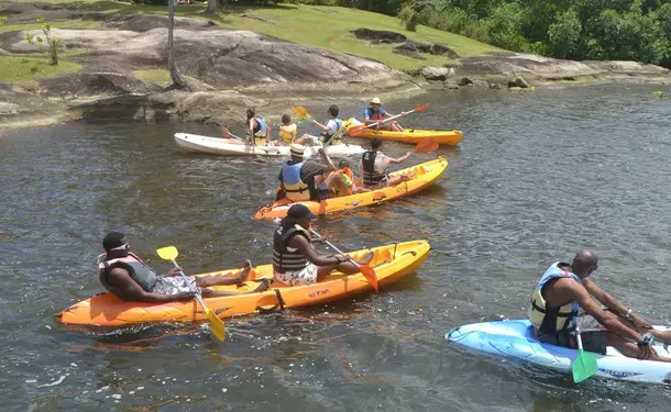 Kayaking in the mangrove of Trois-Ilets