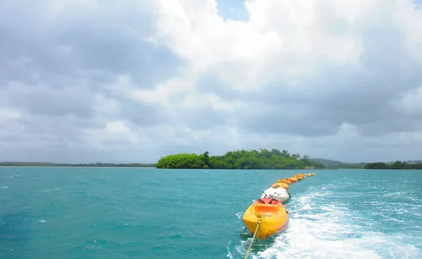 Randonnée en Kayak dans la mangrove des Trois-Ilets