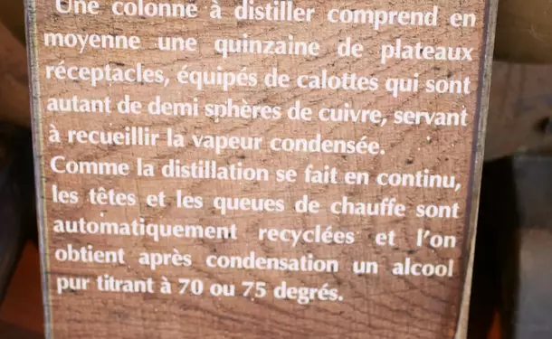 La Distillerie Saint-James 