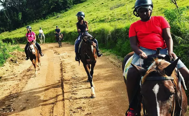 Discovery horse ride in Goyave