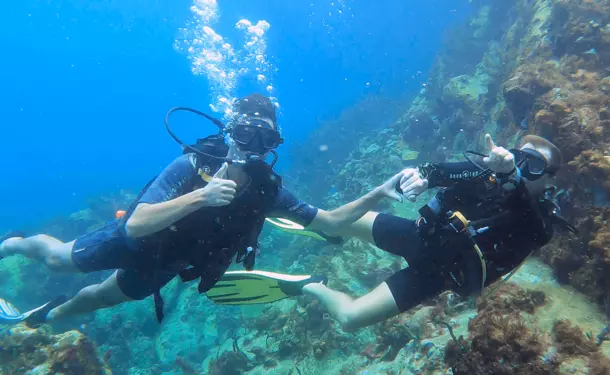 First dive in the Caribbean Sea