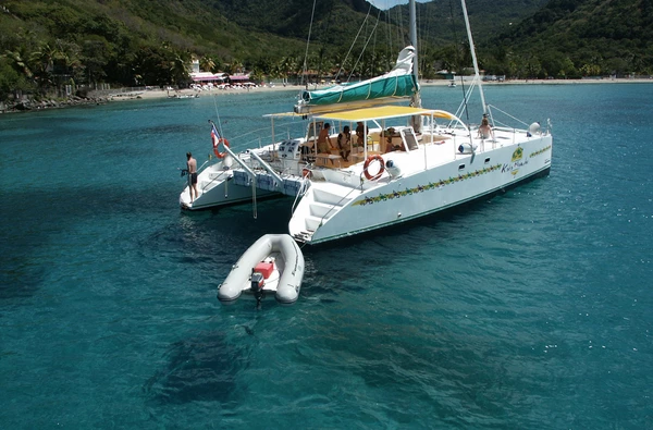 Journée catamaran au nord de l'île avec les dauphins
