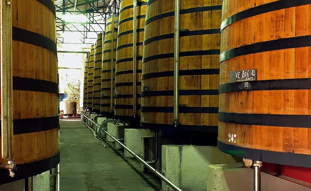 Le Musée du Rhum