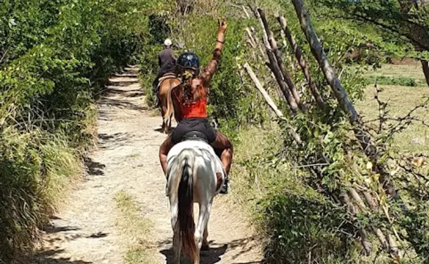 Balade à cheval le long de la côte littorale de l'anse Macabou