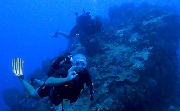 Escapade plongée en mer des caraïbes (pour diplômés)