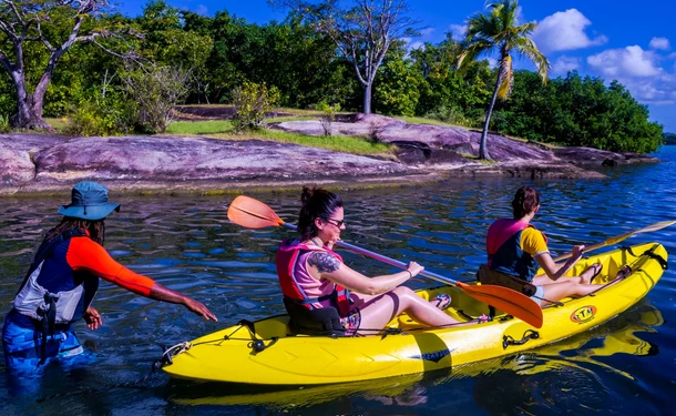 Petite randonnée guidée en Kayak dans la mangrove des Trois-Ilets
