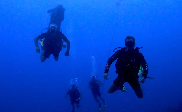 Diving trip in the Caribbean Sea (for graduates)