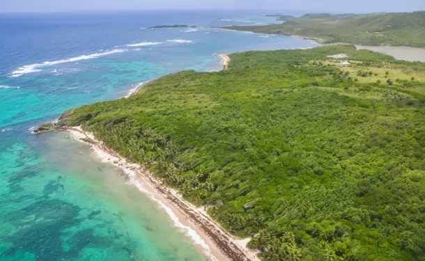Fly over Martinique in an autogyro (30mins)