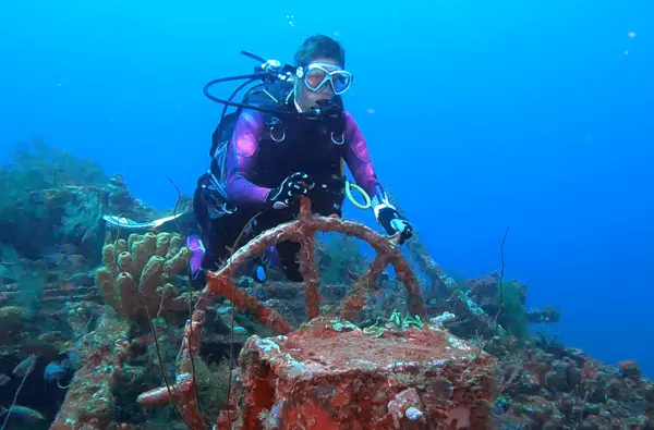 Diving trip in the Caribbean Sea (for graduates)