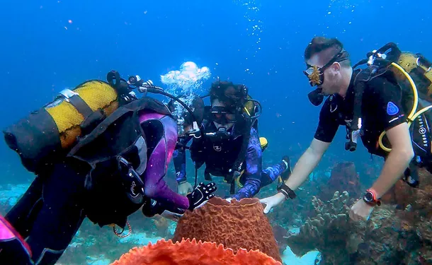 Escapade plongée en mer des caraïbes (pour diplômés)