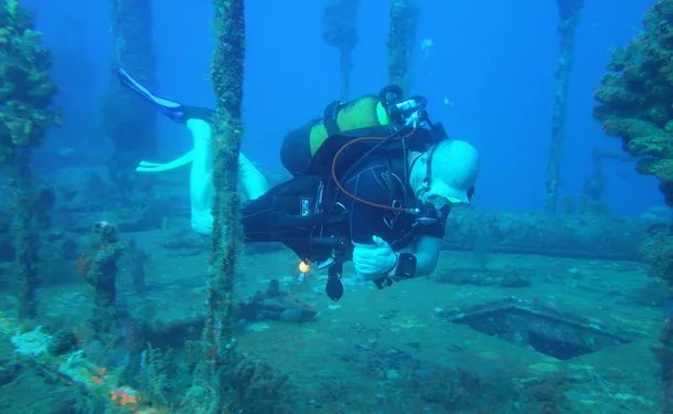 Diving trip in the Caribbean Sea (for graduates)