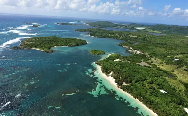 Survolez la Martinique à bord d'un autogire (30mins)