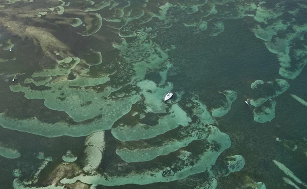 Fly over Martinique in an autogyro (30mins)