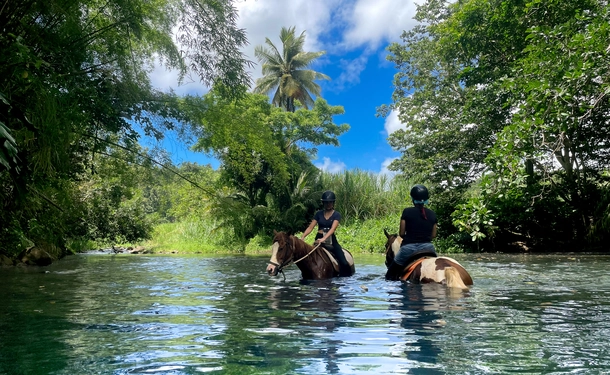 Horse & river for an enchanted ride