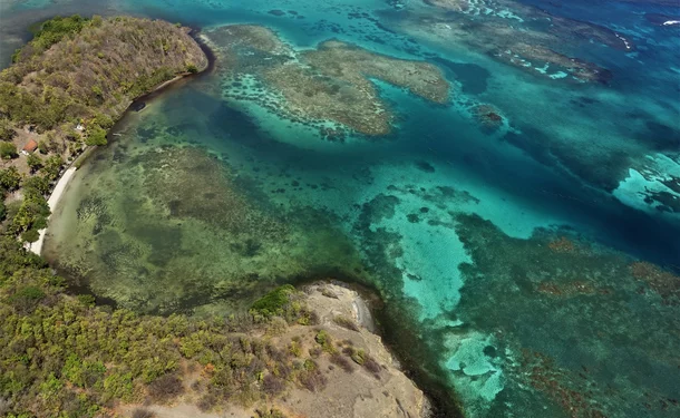 Fly over Martinique in an autogyro (30mins)
