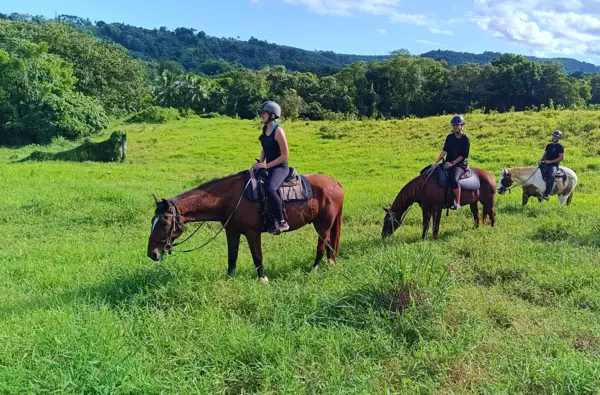 Balade à cheval découverte à Goyave