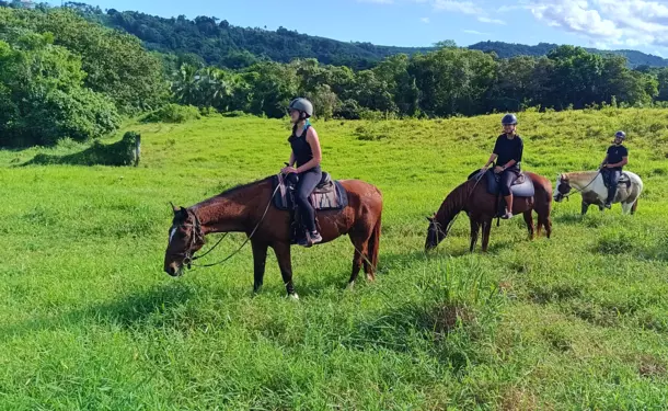 Discovery horse ride in Goyave