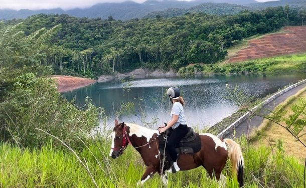 Balade à cheval découverte à Goyave