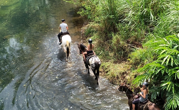 Horse & river for an enchanted ride