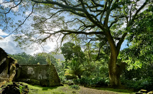 L'Habitation Céron