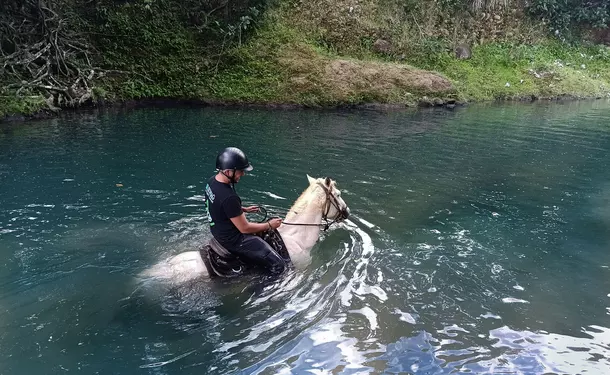 Cheval & rivière pour une balade enchantée