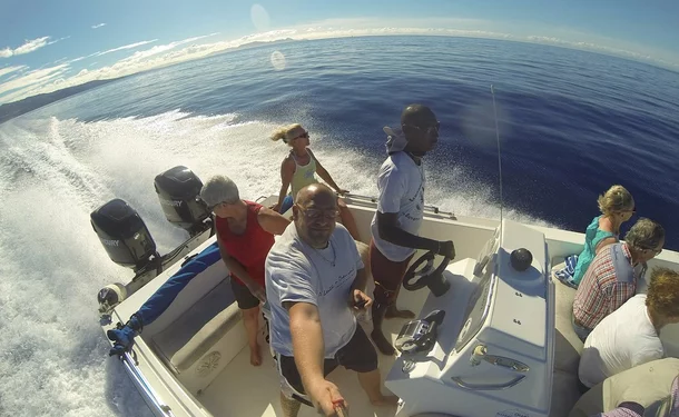 Matinée sur la côte caraïbe avec les dauphins