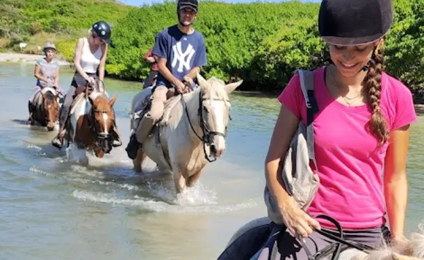 Horseback riding along the coastline of Macabou Cove